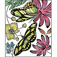 Magic Painting Book, Butterflies