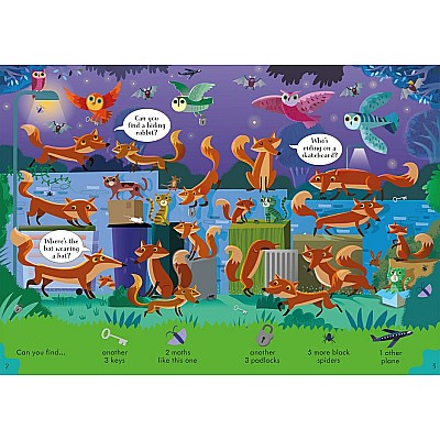 Look and Find Puzzles Nighttime