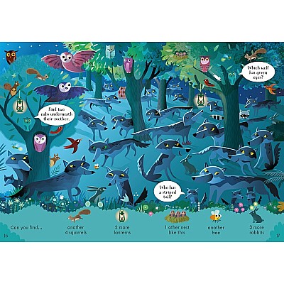Look and Find Puzzles Nighttime