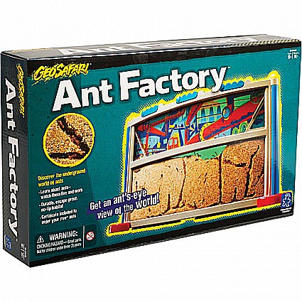 Geosafari Ant Factory