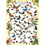 Butterflies - Eurographics