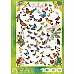 Butterflies - Eurographics
