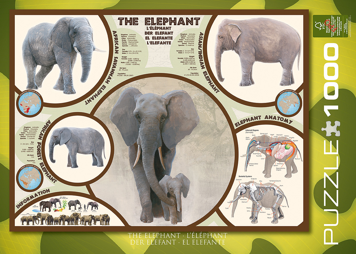 The Elephant 1000-Piece Puzzle - Eureka Puzzles