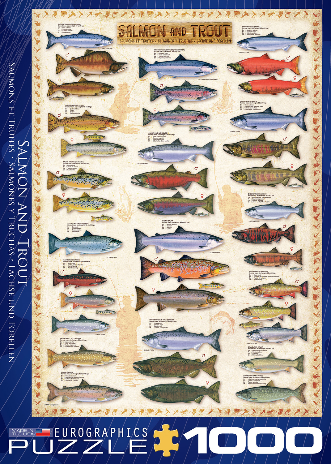 Animal Charts Salmon & Trout Lucky Duck Toys