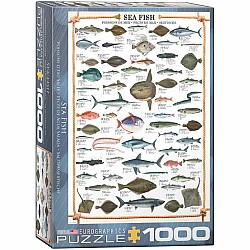 Animal Charts - Sea Fish