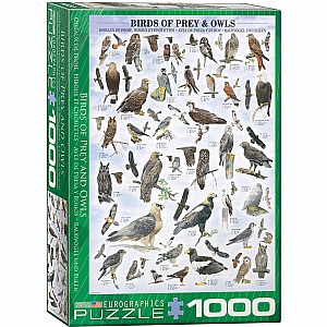 Animal Charts - Birds of Prey & Owls