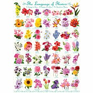 The Language Of Flowers 1000-piece Puzzle