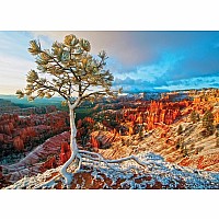 Winter Sunrise 1000-piece Puzzle