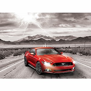 Vintage Car Ads & Cruisin' Series Puzzles - Fifty Years of Power -2015 Ford Mustang