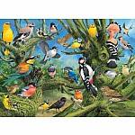 Garden Birds by John Francis - Eurographics.