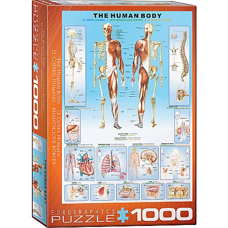 Human Body 1000-Piece Puzzle