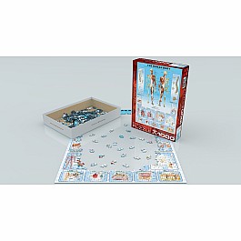 Human Body 1000-Piece Puzzle