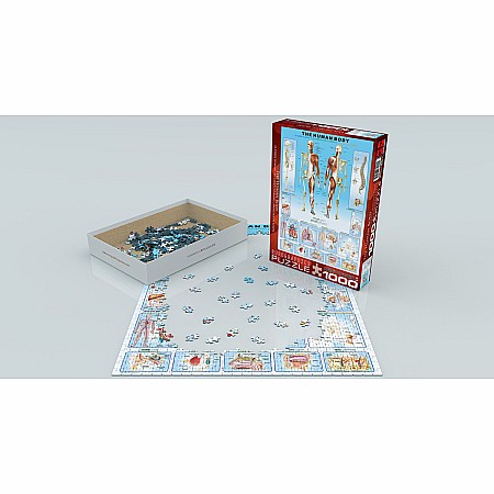 Human Body 1000-Piece Puzzle