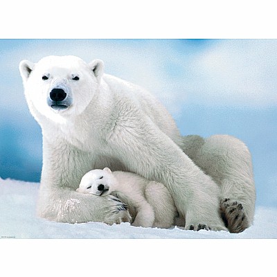 Polar Bear & Ba 1000-Piece Puzzle 