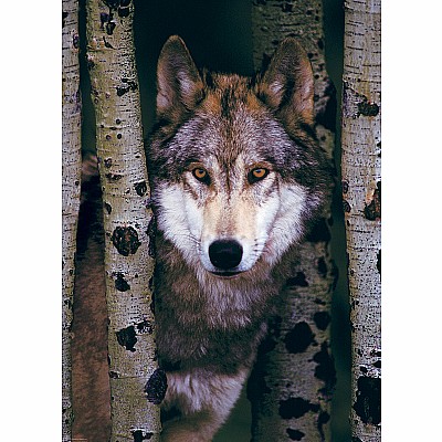 Gray Wolf 1000-Piece Puzzle 