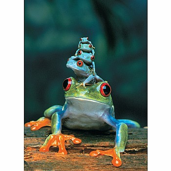Red-Eyed Tree Frog 1000-Piece Puzzle 