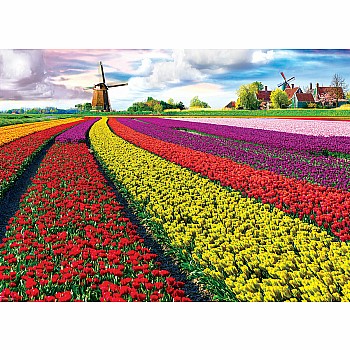 Tulip Field  Netherlands 1000-piece Puzzle