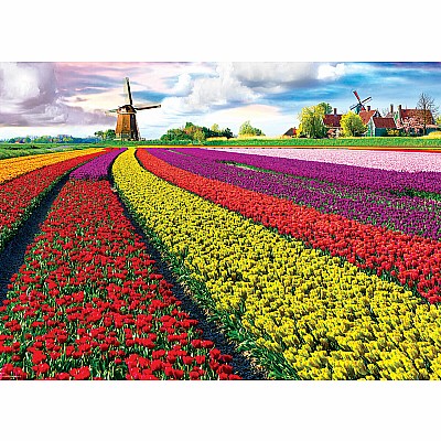 Tulip Field - Netherlands 1000-Piece Puzzle.