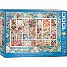 1000 Piece Puzzle, Seashell Collection