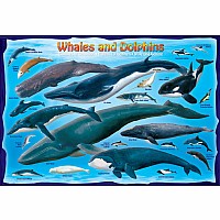 Whales And Dolphins 100-piece Puzzle