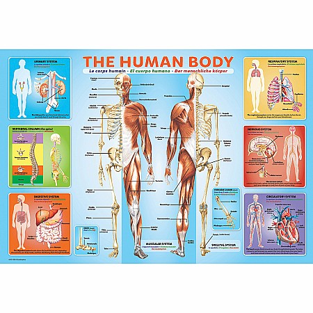 Human Body 200-Piece Puzzle