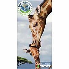 250 pc puzzles - Giraffes