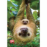 Sloth 250-piece Puzzle