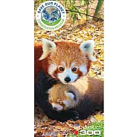 Red Panda 250-piece Puzzle