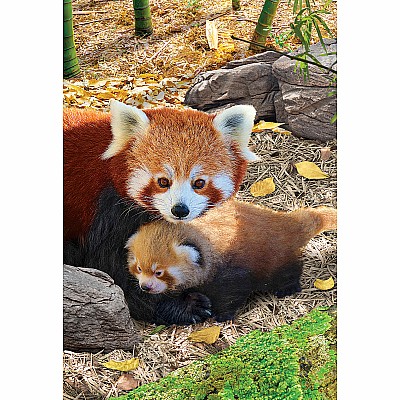 Red Panda 250-piece Puzzle