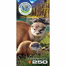 250 pc puzzles - Otters