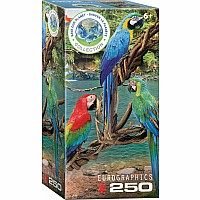 Macaws 250-Piece Puzzle