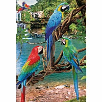 Macaws 250-Piece Puzzle