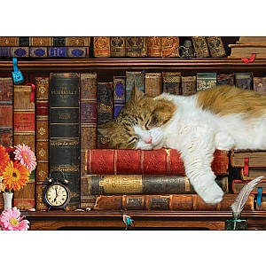 500 pc - Large Puzzle Pieces - The Cat Nap