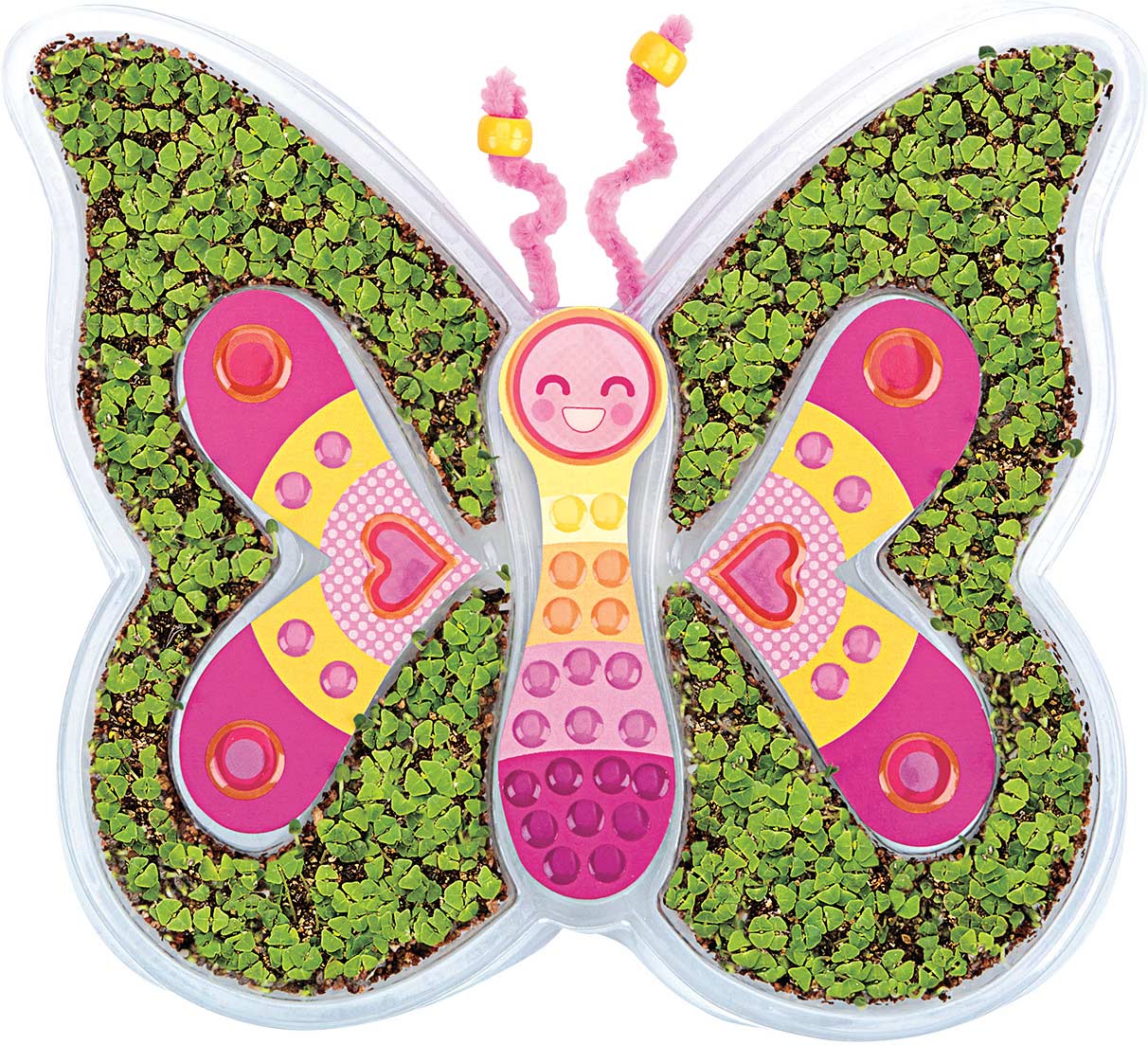 GROW Butterfly Homewood Toy & Hobby