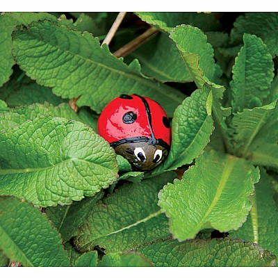 Hide & Seek Rock Painting Kit (weight varies due to natural rocks)