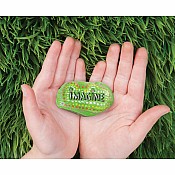 Hide & Seek Rock Painting Kit (weight varies due to natural rocks)