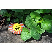 Hide & Seek Rock Painting Kit (weight varies due to natural rocks)
