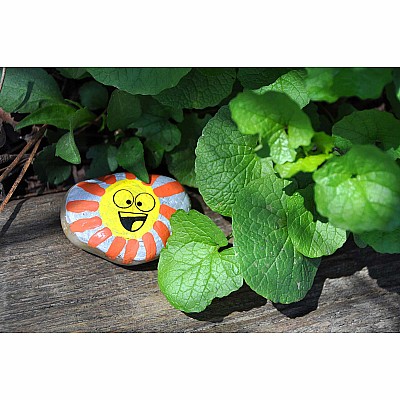 Hide & Seek Rock Painting Kit (weight varies due to natural rocks)