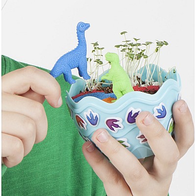 Mini Garden  -  Dinosaur