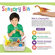 Sensory Bin Dinosaur Dig