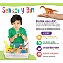 Sensory Bin Dinosaur Dig