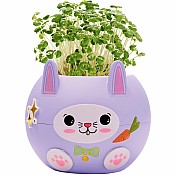 Plant A Pet Bunny