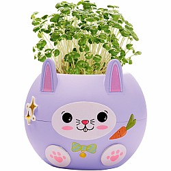 Plant A Pet Bunny