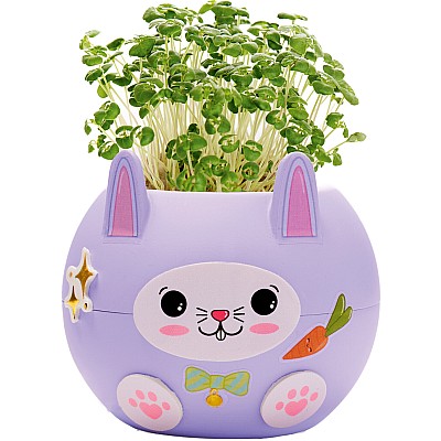 Plant A Pet Bunny