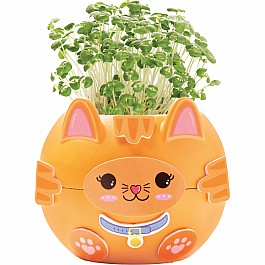 Plant A Pet Kitty