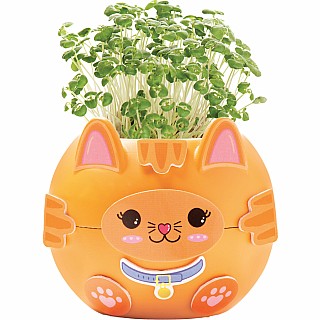 Plant A Pet Kitty