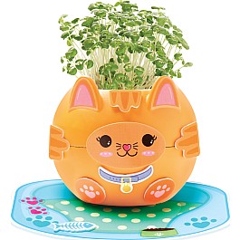 Plant A Pet Kitty