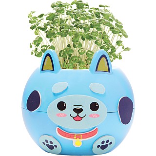 Plant A Pet Puppy