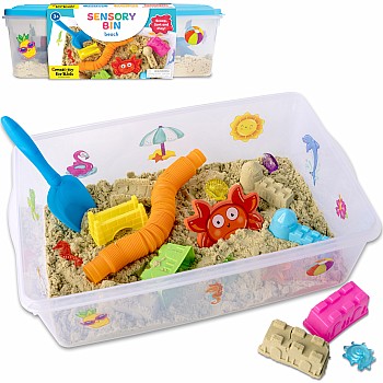 Sensory Bin, Beach