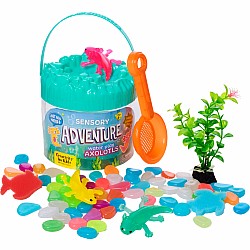 Sensory Adventure Water Play Axolotls